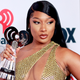 Image for article titled Area Man Bothers Megan Thee Stallion